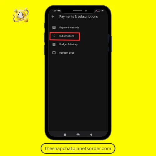 Step 4: Tap on Subscriptions